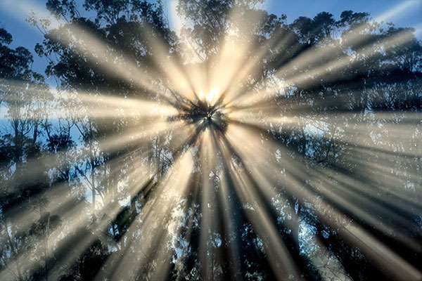 Light Rays Shining from Above